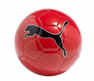 Puma USA Big Cat II Soccer Ball : Sports & Outdoors