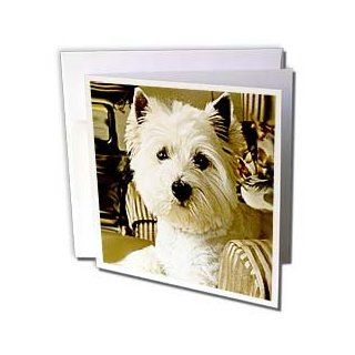 gc_609_1 Dogs West Highland Terrier   Westie   Greeting Cards 6 Greeting Cards with envelopes : Blank Greeting Cards : Office Products
