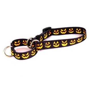 Yellow Dog Design Martingale Pet Collar, Medium, Jack O' Lantern : Pet Choke Collars : Pet Supplies