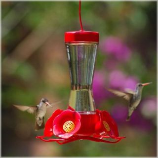 Perky Pet Hummingbird Pinch Waist Glass Bird Feeder   Bird Feeders