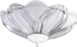 2 Light Ceiling Fan Light Kit    