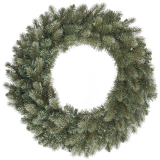 Vickerman 24 in. Colorado Blue Spruce Wreath   Christmas Wreaths