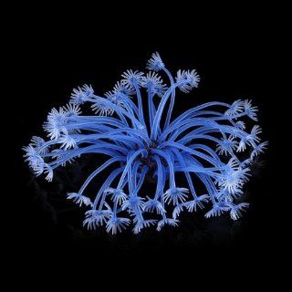 Blue Artificial Fake Coral for Fish Tank Aquarium Decoration Ornament : Pet Supplies