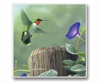 BSS   Feathered Friends Coasters   Hummingbird with Purple Flower Set of 6: Everything Else