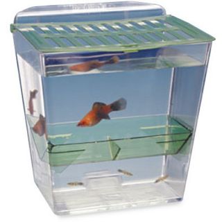 Breed and Show Nursery Fish Tank   Fish Tank Aquariums