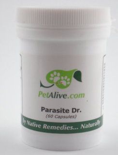 Petalive Parasite Dr Prevent Intestinal Parasites : Pet Digestive Remedies : Pet Supplies