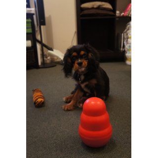 KONG Wobbler Treat Dispensing Dog Toy, Large : Pet Chew Toys : Pet Supplies