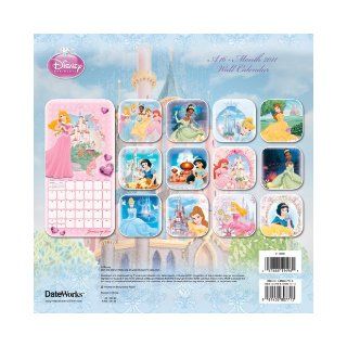 Disney Princess 2011 Wall Calendar with DVD: DateWorks: 9781438807713: Books