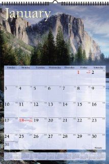 Visual Organizer Recycled Scenic Monthly Wall Calendar, 15 1/2 x 22 3/4 Inches, 2011 (DMW201 28) : Office Products