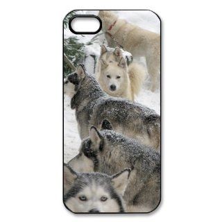 Husky In the Snow Scene iPhone 5 Case Plastic New Back Case Cell Phones & Accessories