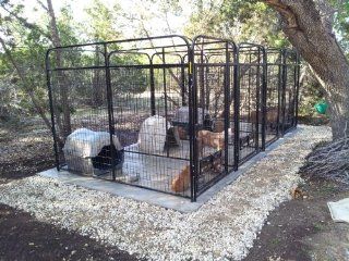 4' X 6' Welded Wire Multiple Dog Kennel For Three : Pet Kennels : Pet Supplies
