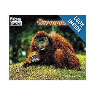 Orangutan (Welcome Books: Animals of the World) (9780516242996): Edana Eckart: Books