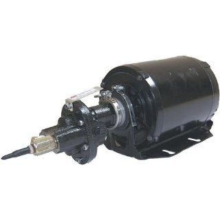 Dayton 4KHP6 Rotary Gear Pump, Cast Iron, 1/3 HP: Sump Pumps: Industrial & Scientific