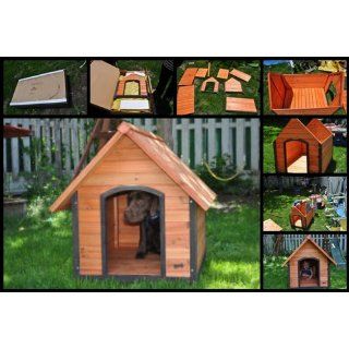 Pet Squeak Arf Frame Dog House, Large : Pet Supplies