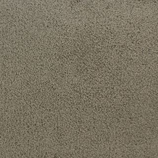 STAINMASTER Active Family Claris Anchor Textured Indoor Carpet