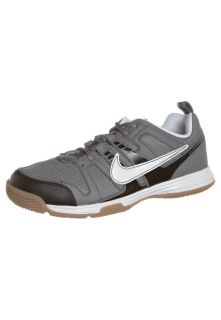 Nike Performance   MULTICOURT 10   Multi court tennis shoes   grey