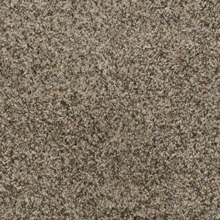 Dixie Group Active Family Exuberance I 117 Brown Textured Indoor Carpet