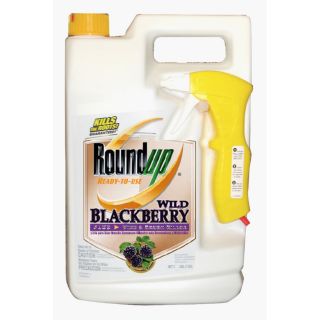 Roundup 128 oz Roundup Ready To Use Poison Ivy Plus Tough Brush Killer