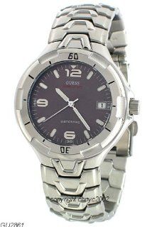 Guess Waterpro Date Silver 100M Mens Watch: Watches