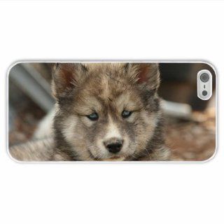 Tailor Iphone 5/5S Animal Dog Of Romantic Present White Cellphone Shell For Everyone Cell Phones & Accessories