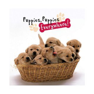 Puppies, Puppies Everywhere! (9780824958879): Peggy Schaefer: Books