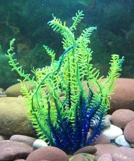 Aquarium Fish Tank Silicone Sea Anemone Artificial Coral Ornament SH156B+R : Aquarium Decor Coral : Pet Supplies