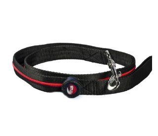 Aviditi AL208 L LED Lighted Dog Leash, Black with Red LED Lights, Large : Pet Leashes : Pet Supplies