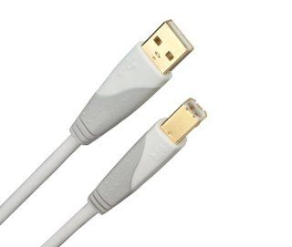 Monster Cable AI USB HP 12 12 foot USB iCable for Apple: Electronics