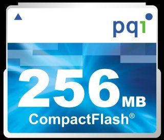 PQI 172P 16GB USB Flash Drive (6172 016GR1008): Computers & Accessories
