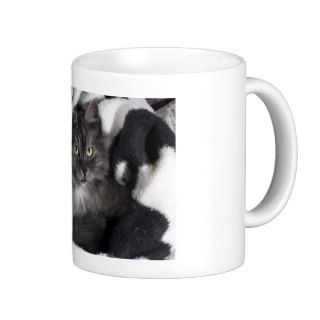 Cute Pet Kitten Cat Peace Love Destiny Coffee Mug