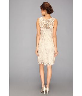 Adrianna Papell Illusion Neck Lace Dress