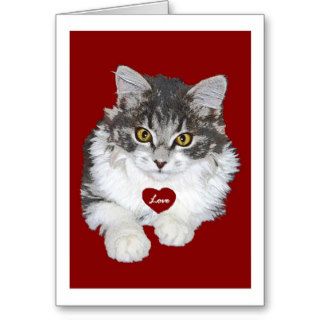 Tabby Cat with Love Heart   Valentine's Day Card