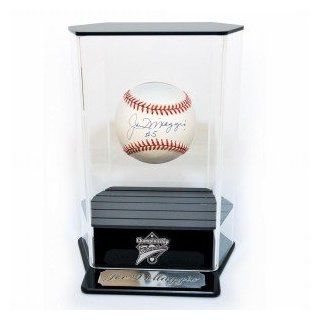 Caseworks Floating Baseball Display Case : Sports Related Display Cases : Sports & Outdoors