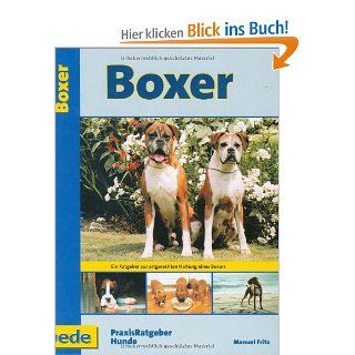 Boxer, Praxisratgeber: Manuel Fritz: Bücher