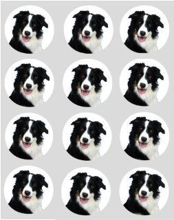 12 Hunde Collie Reispapier Muffin / Cup Cake Kucken Dekoration 40mm Vorgeschnitten: Küche & Haushalt