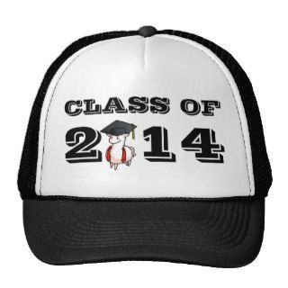 Class of 2014 Llama Hat