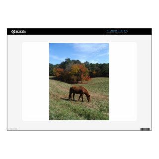 Brown horse with fall trees 15" laptop decal
