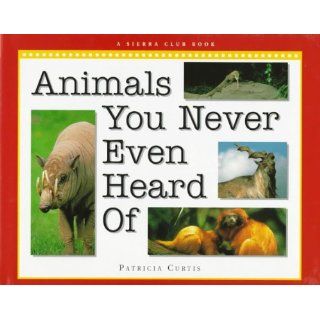Animals you Never Even Heard Of Patricia Curtis 9780871565945 Books