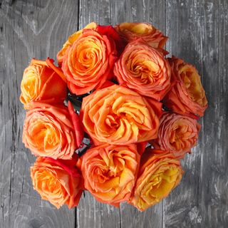 The Bouqs Company 'Dawn' Orange Flower Bouquet Rose Bouquets