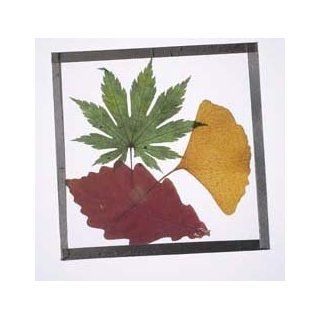 Pressed Leaf Coaster Craft Kit (makes 25 projects): Toys & Games