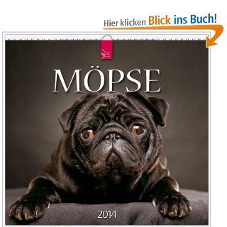 Mpse 2014: Original Strtz Kalender   Mittelformat Kalender 33 x 31 cm Spiralbindung: Tierfotoagentur: Bücher