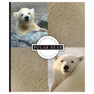 The Life Cycle of a Polar Bear: Robin Merritt: 9781609731908: Books