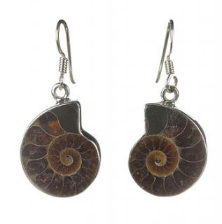ammonite earrings by wonderland boutique