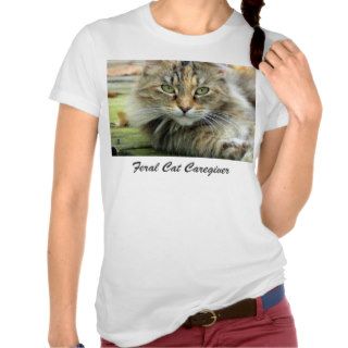 Feral Tabby Cat Caregiver T Shrit T Shirts