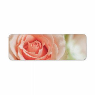 Peach Pink Rose Background Customized Custom Return Address Labels