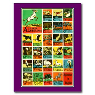 Animal abc alphabet Chart  teachers and learners Post Cards