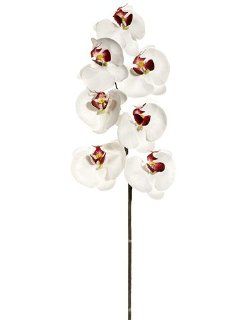 36" Large Phalaenopsis Orchid Spray w/7 Flw. Burgundy Cream (Pack of 6) : Artificial Flowers : Patio, Lawn & Garden