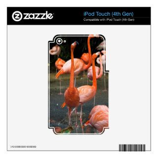 A number of Flamingos Skin For iPod Touch 4G