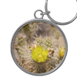 Wolf’s cholla Cactus Key Chains