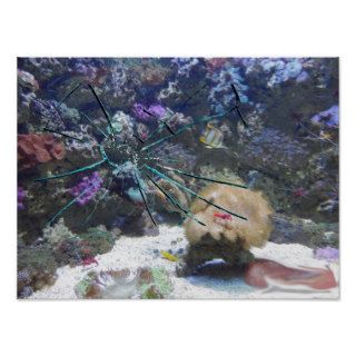 Poster “broken aquarium” of fish